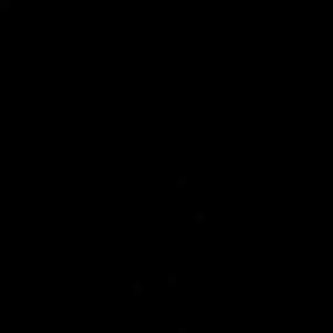 Meet your Posher, Marcia